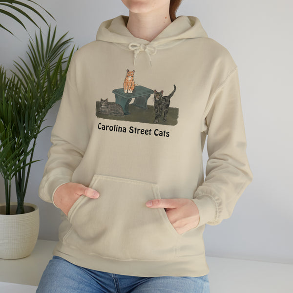 Carolina Street Cats Unisex Heavy Blend™ Hooded Sweatshirt