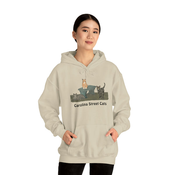 Carolina Street Cats Unisex Heavy Blend™ Hooded Sweatshirt