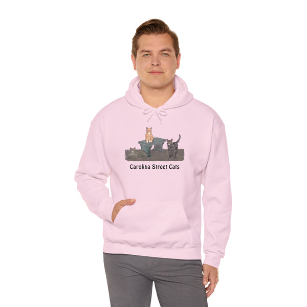 Carolina Street Cats Unisex Heavy Blend™ Hooded Sweatshirt